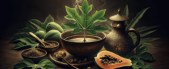 Descubre la HOJA DE PAPAYA: Una Receta Saludable y Sabrosa para Tu Dieta Diaria 3 Hoja de papaya
